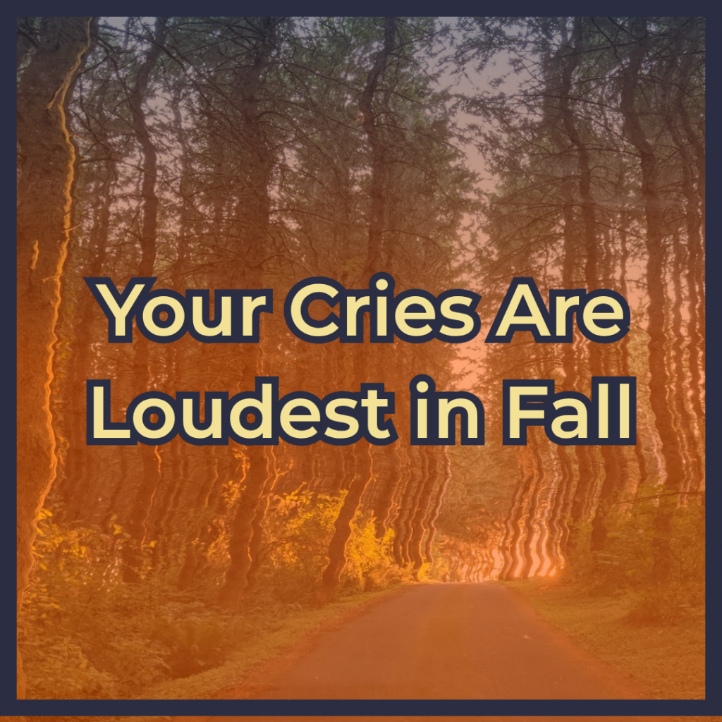 Your Cries Are Loudest in Fall